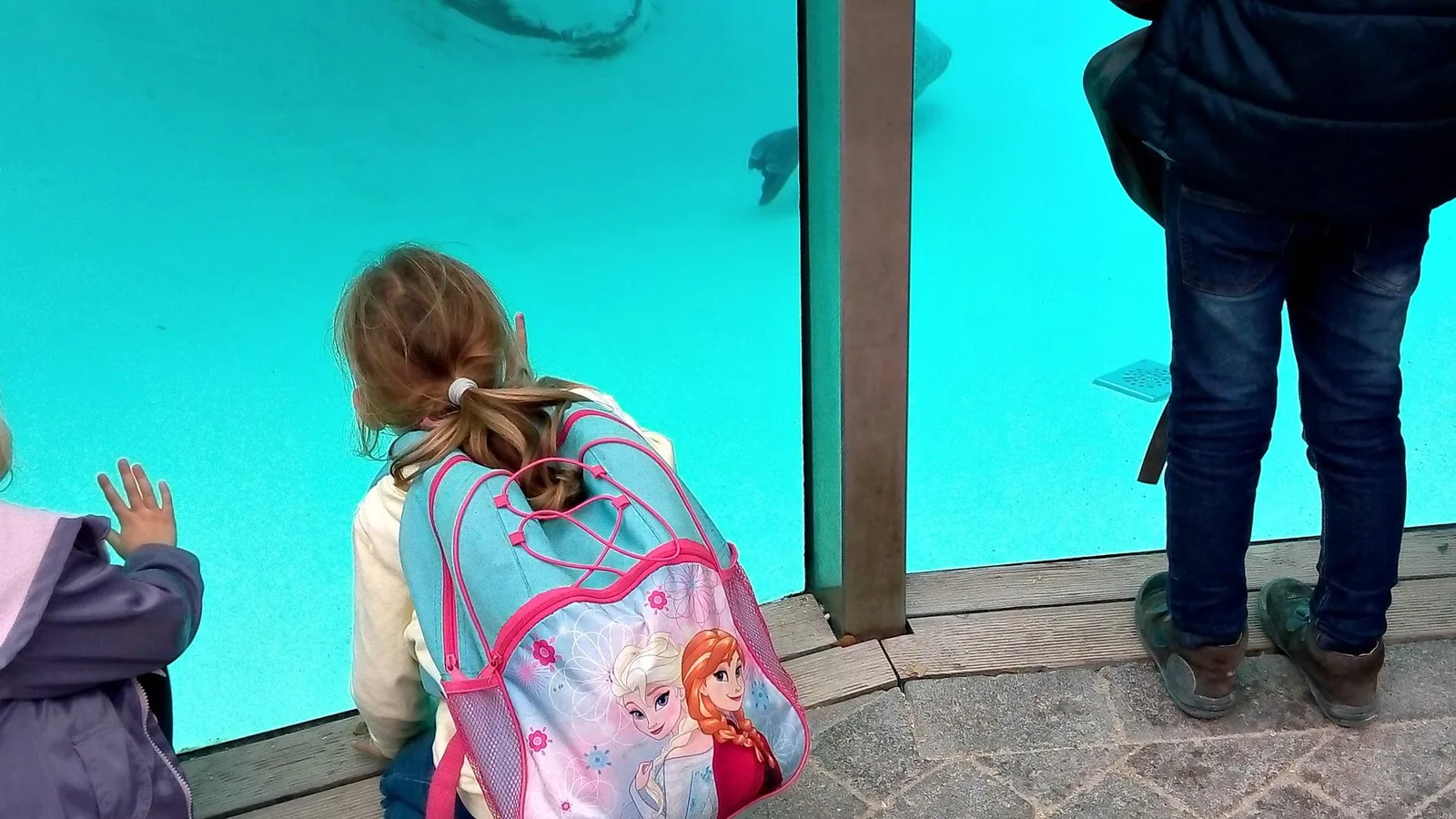 2019 Állatkertben Kirándultunk