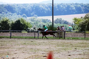 Bakonyi Vágta 2019