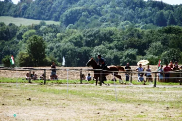 Bakonyi Vágta 2019