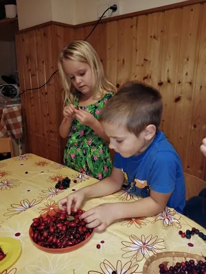 Óvodai pillanatképek - Terméshét az óvodában