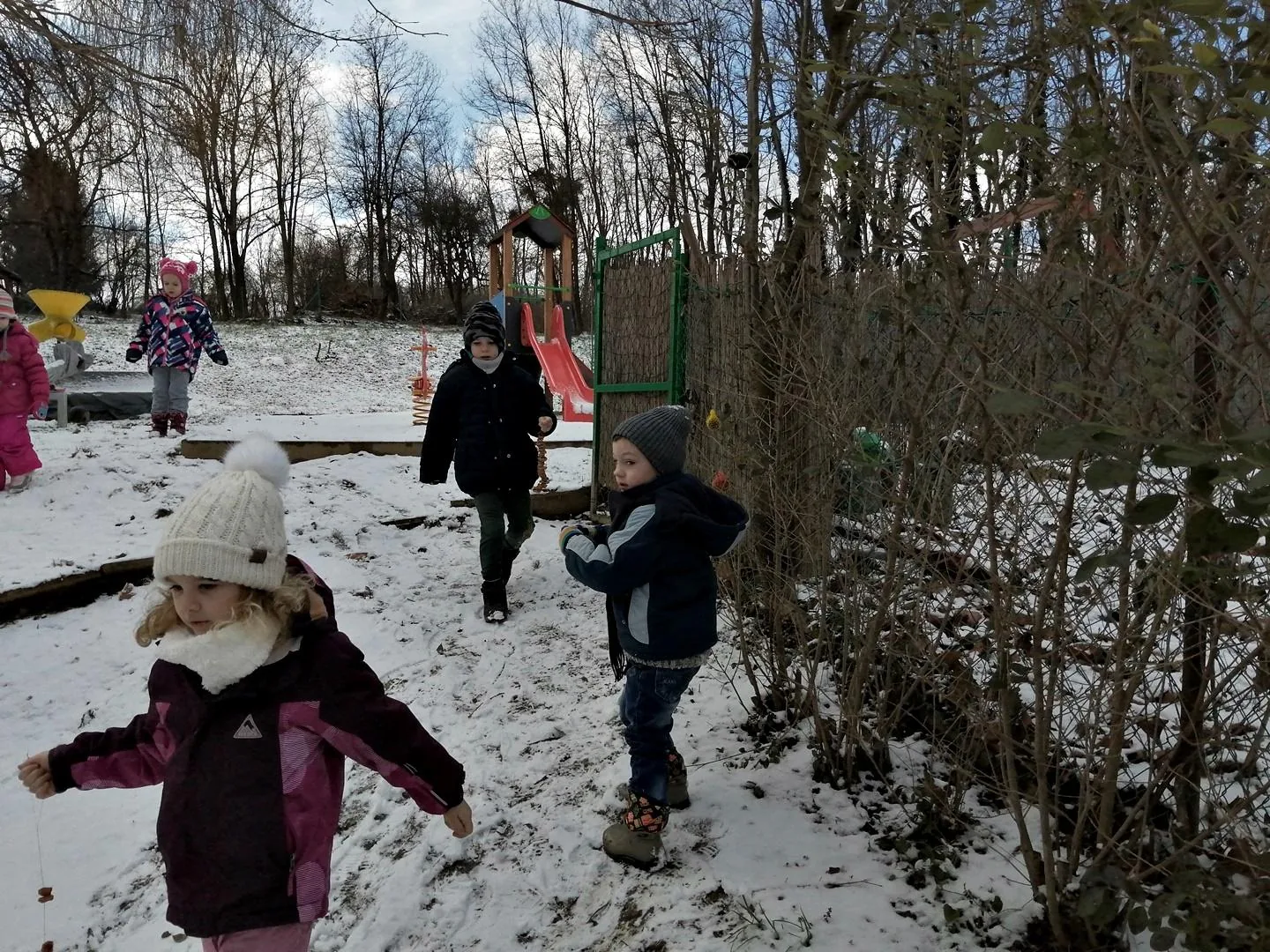 Madarak etetése télen