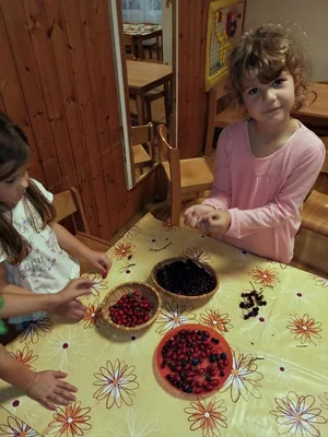 Óvodai pillanatképek - Terméshét az óvodában