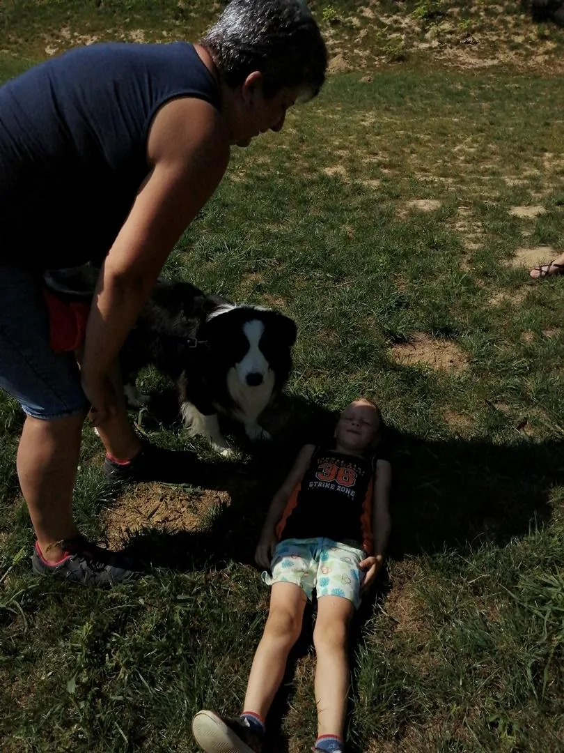 Nyári pillanatképek