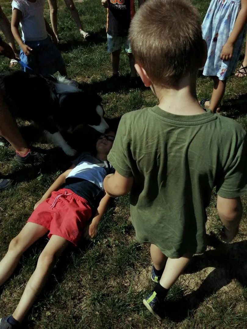 Nyári pillanatképek