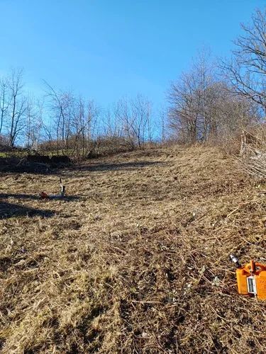 Elhanyagolt terület megtisztítása volt a feladat