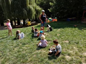 Nyári pillanatképek