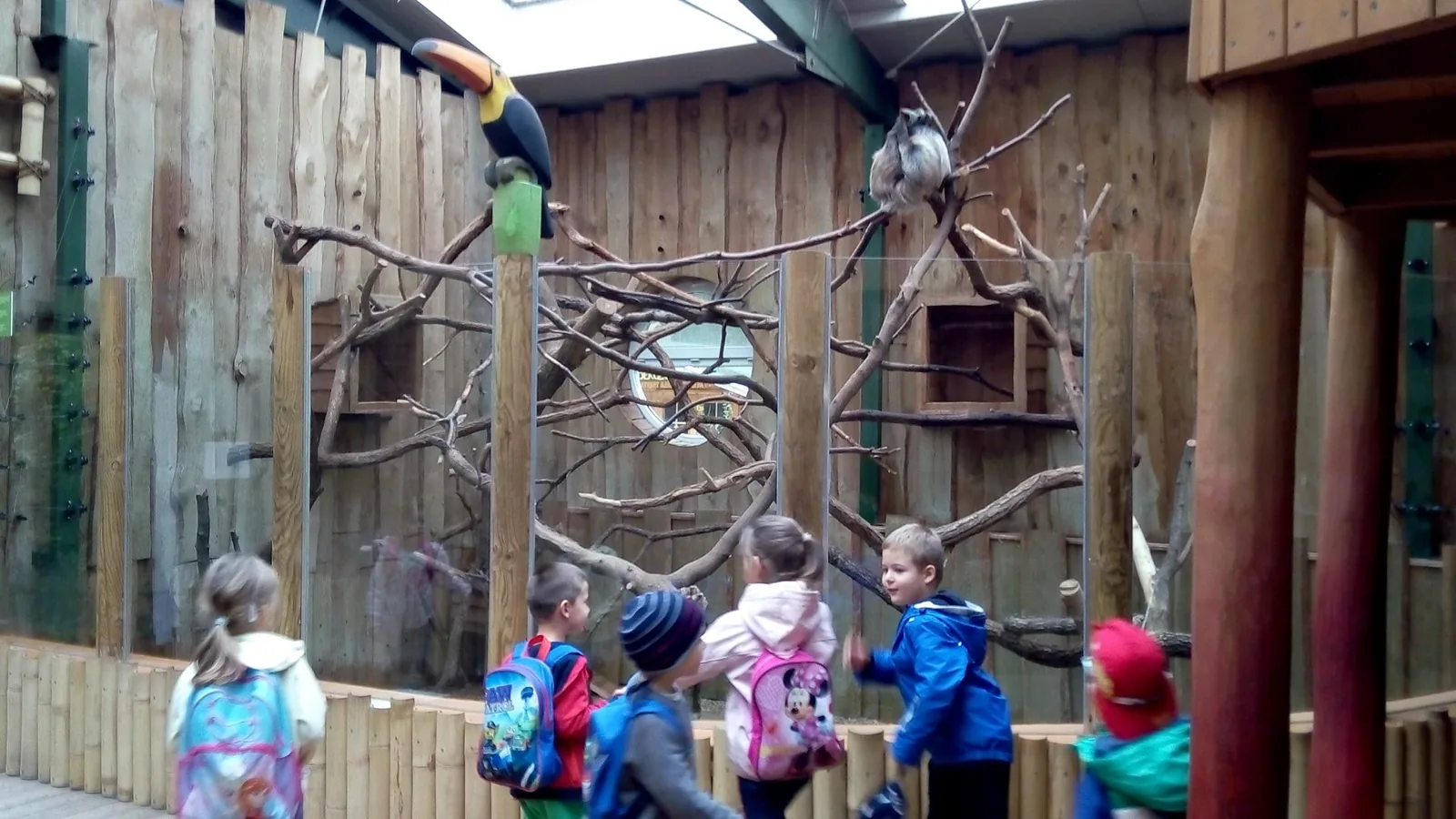 2019 Állatkertben Kirándultunk