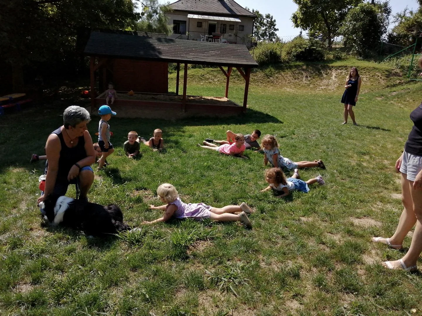 Nyári pillanatképek