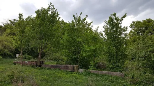 'Vüllö-hegyi Négy Vályú forrás' cikk borítóképe