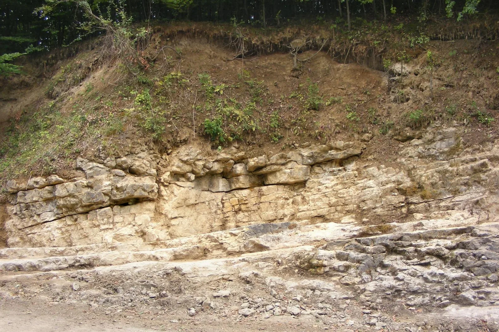 Fotók: Tóth Szabolcs / Balaton-felvidéki Nemzeti Park