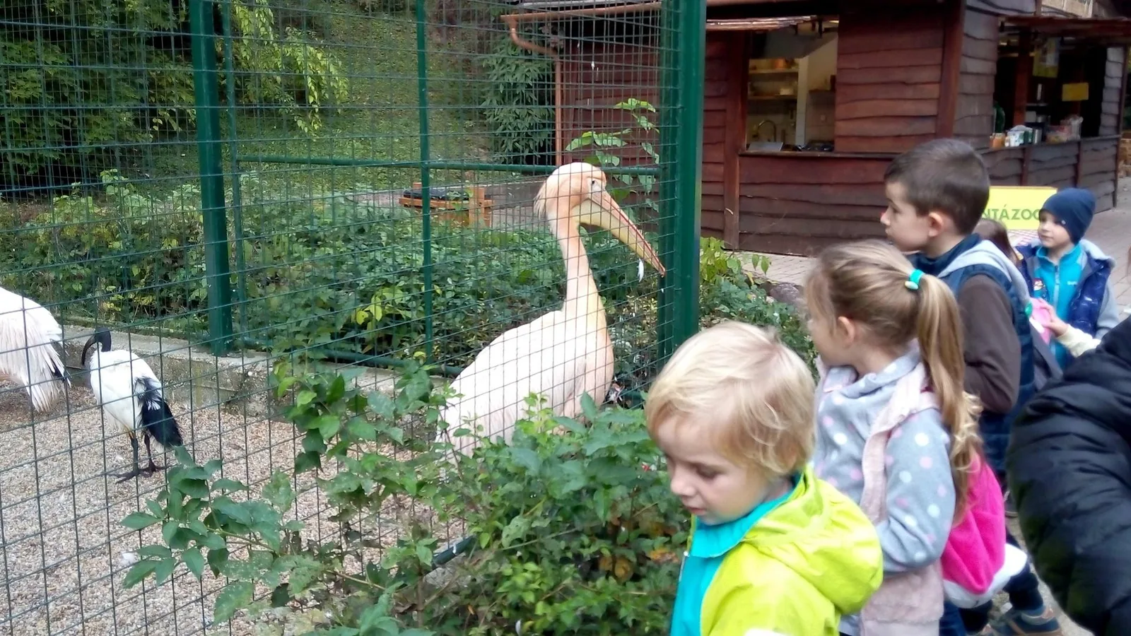 2019 Állatkertben Kirándultunk