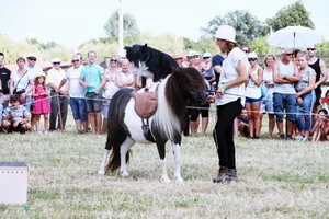 2019 Bakonyi Vágta. Fotók: Útirány.hu