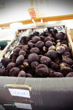 Gombócfesztivál 2019. / Fotók: Útirány.hu