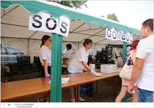 'Gombócfesztivál Bakonynána' cikk borítóképe