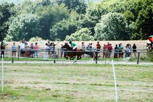 2019 Bakonyi Vágta. Fotók: Útirány.hu