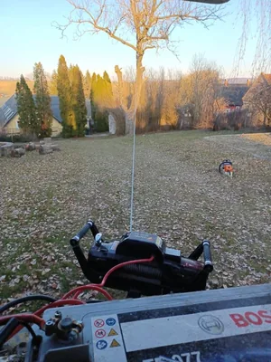 2db beteg akác és 1db beteg diófa, alpintechnikával és csörlő segítségével