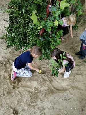 Nyári pillanatképek