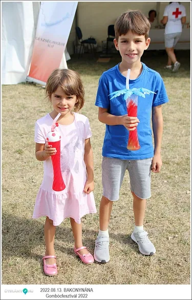 Gombócfesztivál Bakonynána