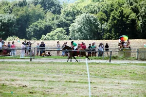 2019 Bakonyi Vágta. Fotók: Útirány.hu