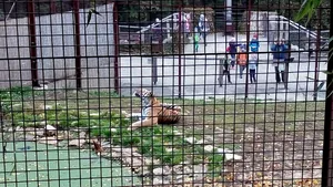 2019 Állatkertben Kirándultunk