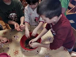 Madarak etetése télen