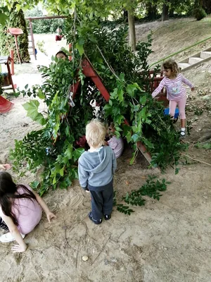 Nyári pillanatképek