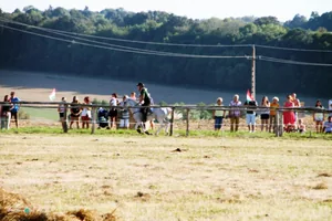 2019 Bakonyi Vágta. Fotók: Útirány.hu