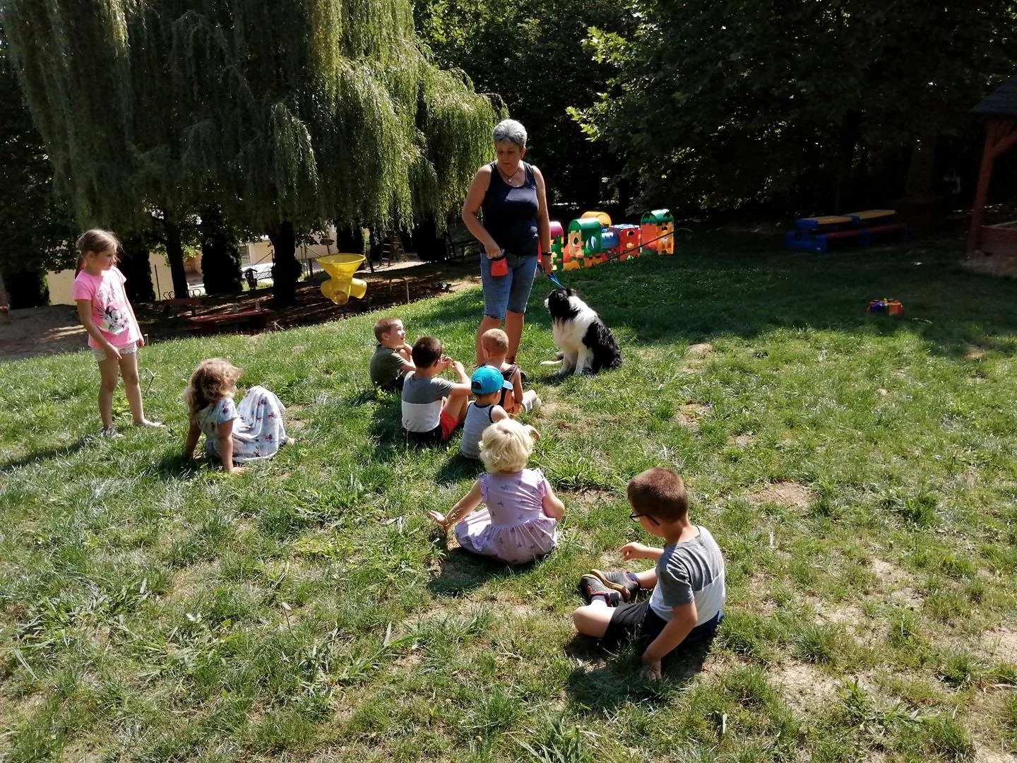 Nyári pillanatképek