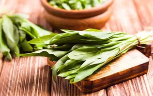 Medvehagyma csomagoló üzem keres több pozícióban munkavállalókat borítóképe