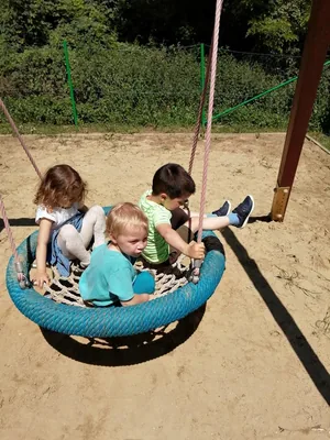 Nyári pillanatképek