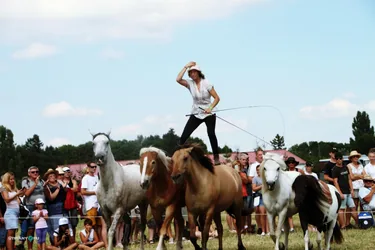 Bakonyi Vágta 2019