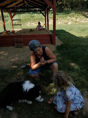 Nyári pillanatképek