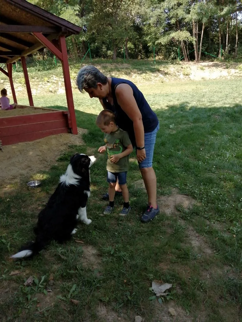 Nyári pillanatképek