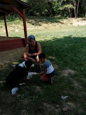 Nyári pillanatképek