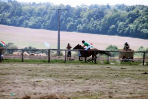 2019 Bakonyi Vágta. Fotók: Útirány.hu