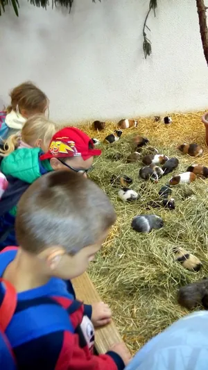 2019 Állatkertben Kirándultunk