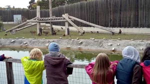 2019 Állatkertben Kirándultunk