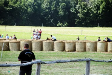 Bakonyi Vágta 2019