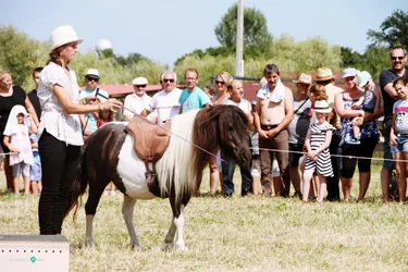 Bakonyi Vágta 2019