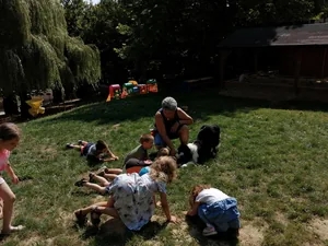 Nyári pillanatképek