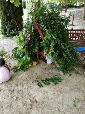 Nyári pillanatképek