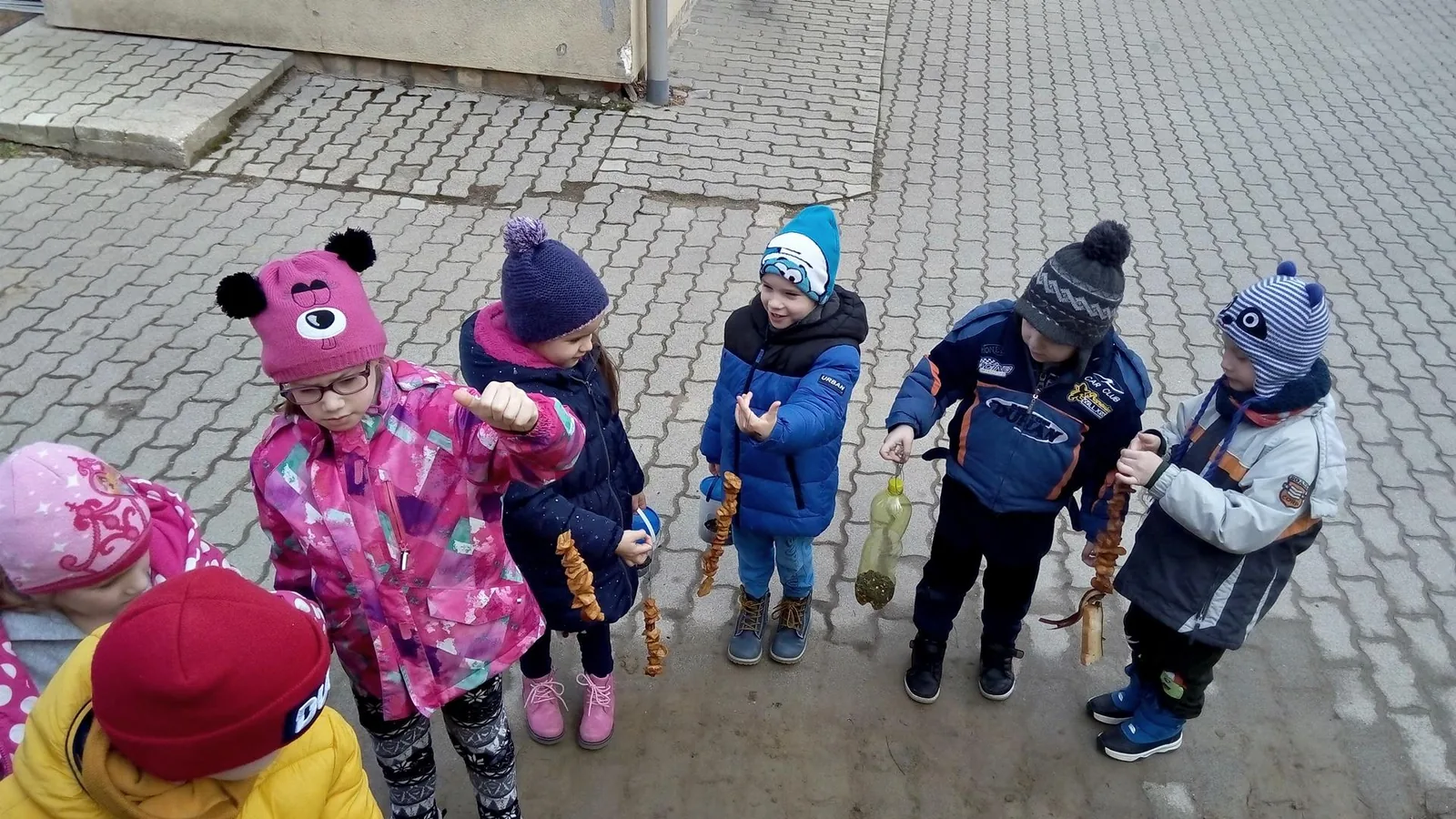 Madárbarát óvoda lettünk