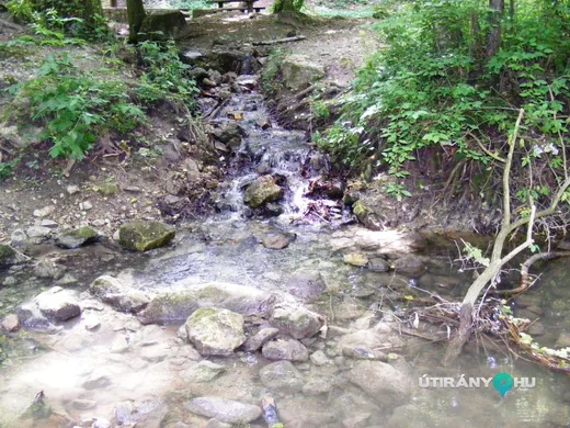 'Vadalmás-forrás' cikk borítóképe