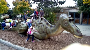 2019 Állatkertben Kirándultunk