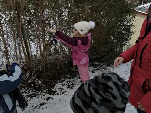 Madarak etetése télen