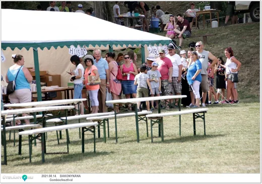 'Gombócfesztivál 2021' cikk borítóképe