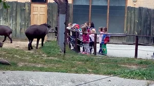 2019 Állatkertben Kirándultunk