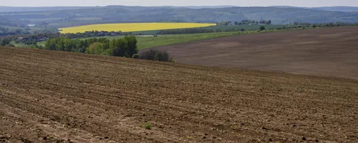 'Újabb földterületek megvásárlására nyílik lehetőség ' cikk borítóképe