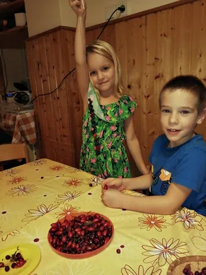 Óvodai pillanatképek - Terméshét az óvodában