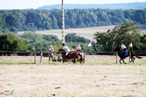 2019 Bakonyi Vágta. Fotók: Útirány.hu